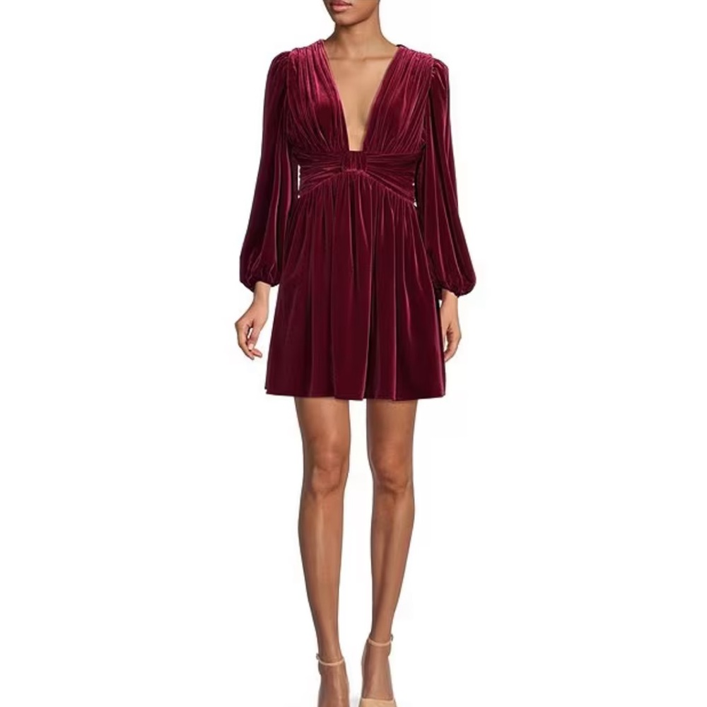 COPY - Gianni Bini Mariah Velvet Size 2 Dress, NWT